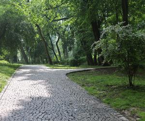 Czerwcowy spacer po Ogrodzie Saskim w Lublinie