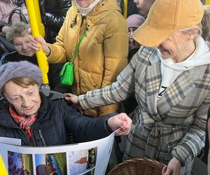 W gorzowskich autobusach elektrycznych przedstawiciele miasta rozdawali kubki i kalendarze