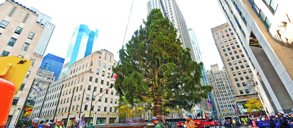 Manhattan już z choinką