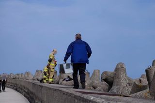 Pies uwieziony na falochronie.