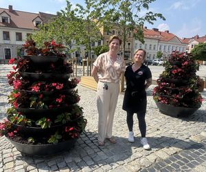 Konińscy przedsiębiorcy skarżą się na parkingi