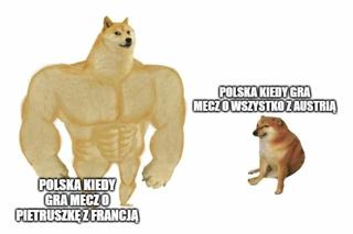 Polska - Francja. Zobacz najlepsze MEMY z meczu o honor