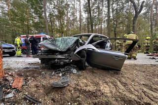 Kierowca uderzył oplem w drzewo, nie przeżył. Policja szuka sprawcy