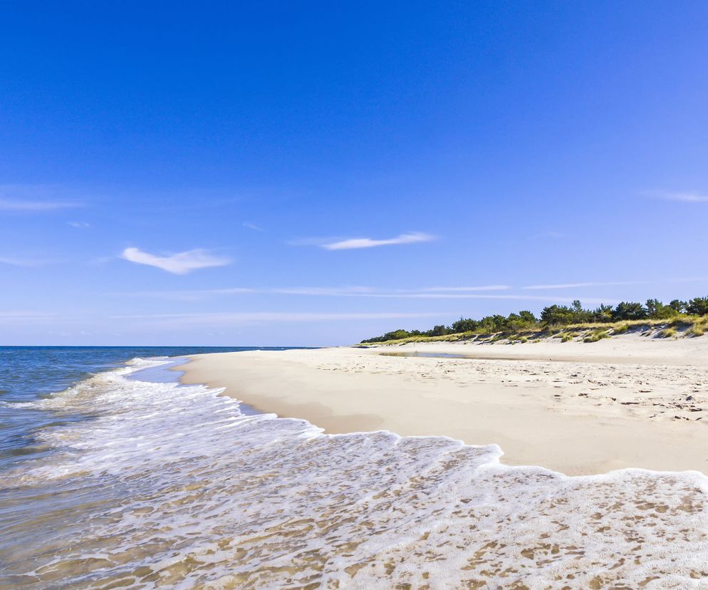 Plaża nad Bałtykiem z jasnym piaskiem i łagodnymi falami obmywającymi brzeg. W tle zielone wydmy porośnięte roślinnością pod czystym, błękitnym niebem z pojedynczymi chmurami. Idealne miejsce na wakacje, o których więcej dowiesz się na Poradnik Zdrowie.