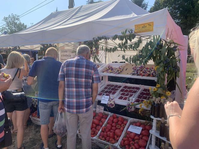 Wydarzenie odbywa się w dniach 7 i 8 września