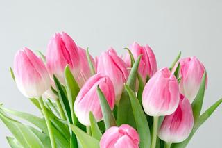 Dodaję kilka kropli do wody, a moje kwiaty ze sklepu są świeże przez długi czas! 