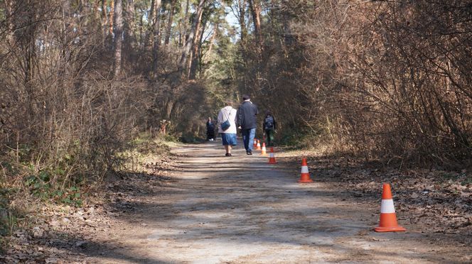 City Trail 2025. Miłośnicy biegania walczyli przy Zalewie Zemborzyckim w Lublinie