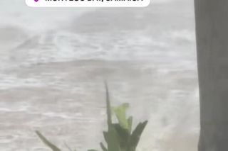 Aleksandra Żebrowska