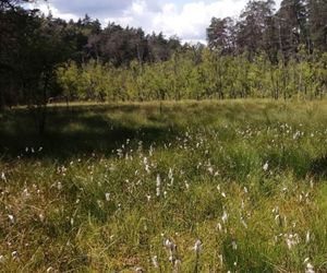Występują tam cenne okazy. Rezerwat na Mazurach powiększony