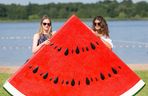 Owocowa Plaża w Zborowie 