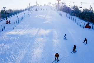 Ten warszawski park oferuje wiele zimowych atrakcji. Nie ma mowy o nudzie! 