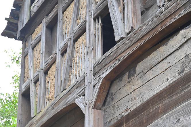 Torhaus - przysłupowy dom bramny z Działoszyna pod Bogatynią