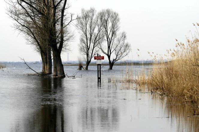 Park Narodowy Ujście Warty