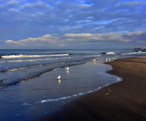 Plaża w Kołobrzegu 