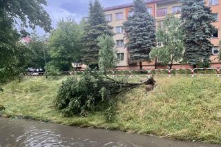 Burze sieją spustoszenie na Podkarpaciu