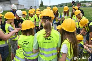 Sokoły zaobrączkowane