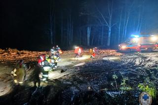 Niedźwiedź zaatakował mężczyznę