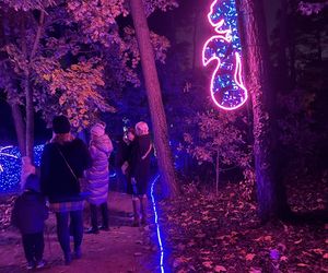 Otwarcie Lumina Parku w Poznaniu. Tegoroczne świecące miasteczko robi fenomenalne wrażenie!