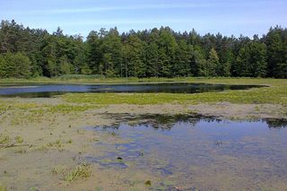 Ta wieś w woj. warmińsko-mazurskim była bardzo popularna. Dziś to opuszczone miejsce