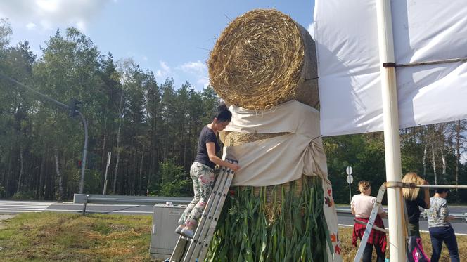 Żniwa dobiegają końca! Pod Bydgoszczą pojawiają się pierwsze "witacze" 