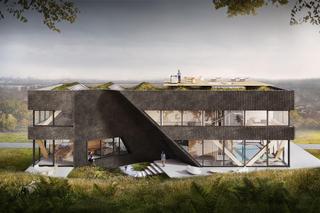 Dom z grotą, proj. BXB Studio