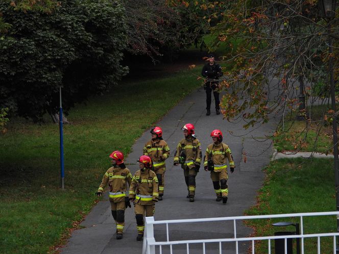Pilna akcja służb przy Senacie. Na trawniku leżał „bezzałogowy statek powietrzny”