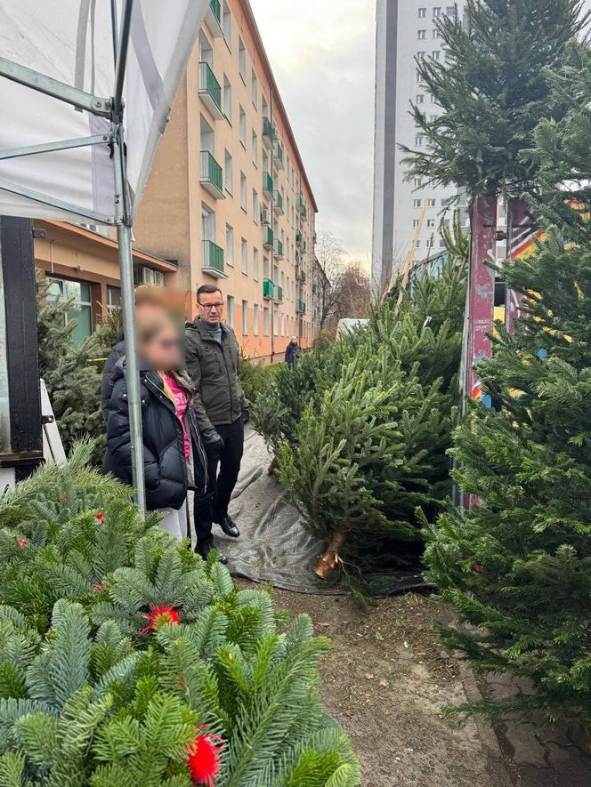 Mateusz Morawiecki kupił choinkę na święta