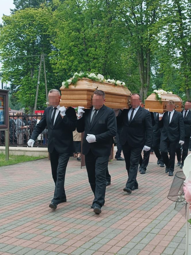 Rąbnęli w łosia, osierocili synka