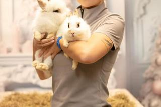 Fundacja Ada walczy o byt