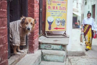 Magdalena Szczoczarz. Fotografia i podróże