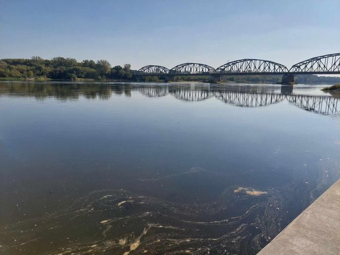 Wisła w Fordonie wyraźnie przybrała i przyspieszyła. Duża woda niesie mnóstwo śmieci i zanieczyszczeń