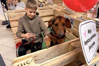 Akcja adopcyjna Fundacji Dobre Ludki w Grudziądzu