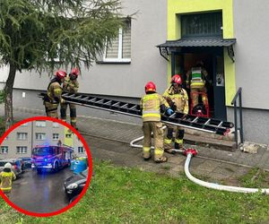 Tragiczny pożar w Piekarach Śląskich. Jedna osoba nie żyje