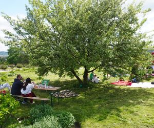 Ogród Botaniczny w Kielcach