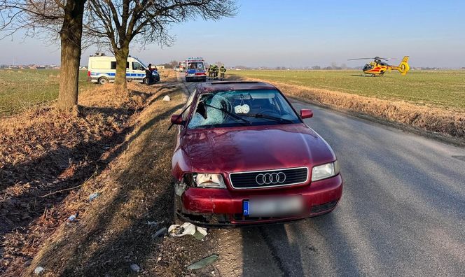 64-letni rowerzysta zginął w wypadku pod Piotrkowem Trybunalskim