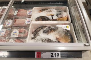 Ceny karpia w Białymstoku 2023. Ile zapłacimy za kilogram ryby w Podlaskiem?