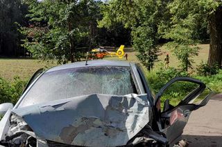 Młody kierowca wjechał w drzewo. 29-latek jechał bez pasów i prawa jazdy