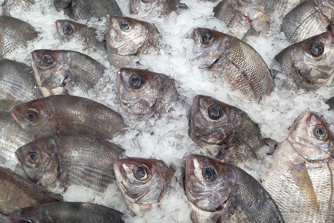 Przeterminowane ryby w znanych marketach na Mazowszu. CBA prowadzi śledztwo