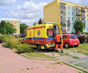 W Kraśniku dziecko wypadło z okna na trzecim piętrze. Wezwano śmigłowiec LPR 