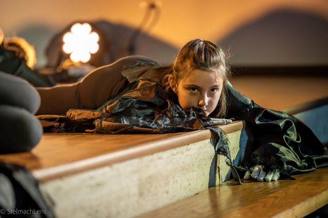 Polonijni aktorzy z Chicago uczcili Dzień Teatru 