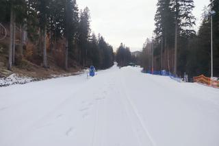Gdzie na narty w województwie dolnośląskim? Otwarcie pierwszego stoku już w ten weekend! 