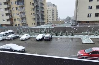 Śnieg w Rzeszowie [GALERIA]