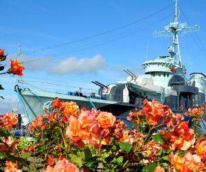 ORP Błyskawica