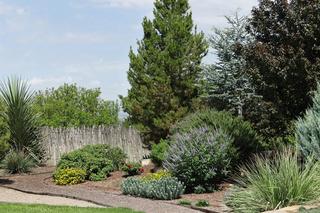 Warto powierzyć projekt ogrodu fachowcowi