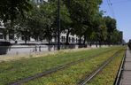 Zielone torowiska