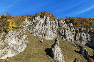 Ojcowski Park Narodowy