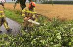 Burze i nawałnice nad Podkarpaciem. Strażacy interweniowali prawie 500 razy [ZDJĘCIA]