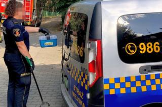 Padalce napędziły strachu hydraulikowi