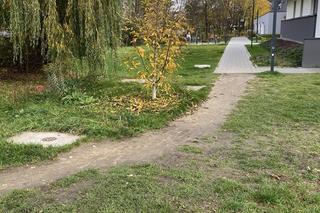 Budowlany absurd w Krakowie. Cztery i pół metra chodnika za 27 tysięcy złotych?