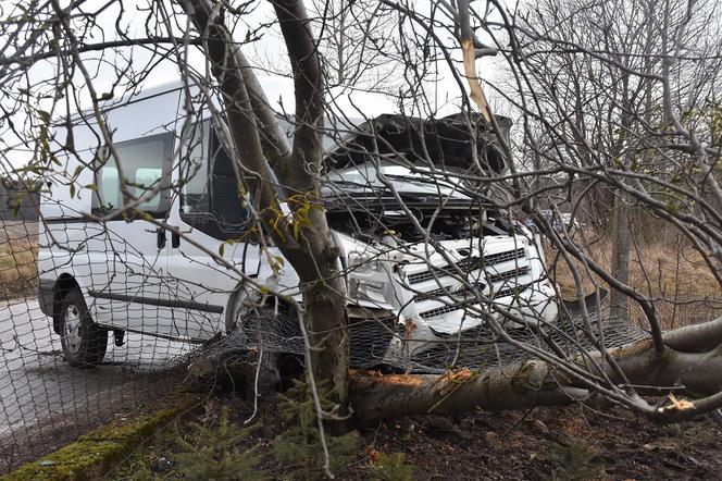 Wypadek dostawczaka w Płośnicy